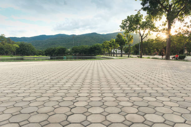 Best Driveway Pavers for Homes  in Carlstadt, NJ